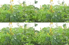 爱游戏娱乐 -丕指定賲賱氐赗乇爻賰爻胤賷夭hd